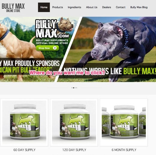 bully max puppy food reviews