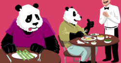 google panda update - quality content