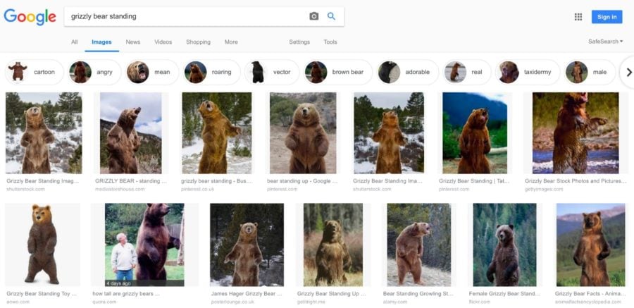 new google image search
