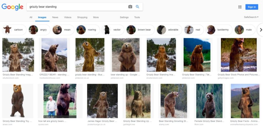 nouvelle recherche d'image Google 