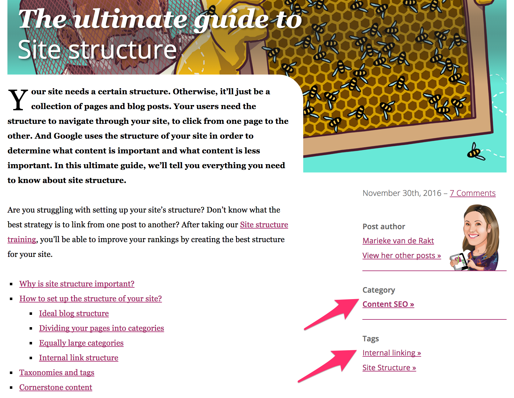 taxonomies for internal linking