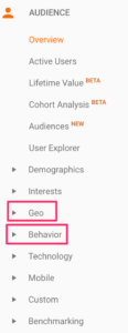 Audience Overview in Google Analytics