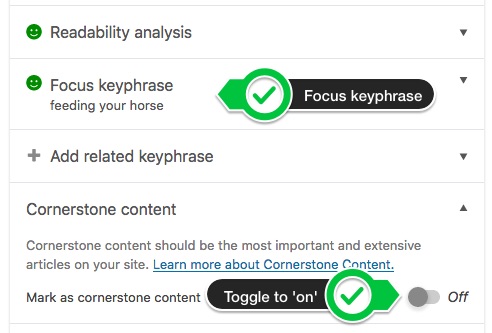 Adding the focus keyphrase and marking as cornerstone content in Yoast SEO