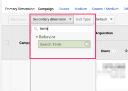 utm_term in Google Analytics