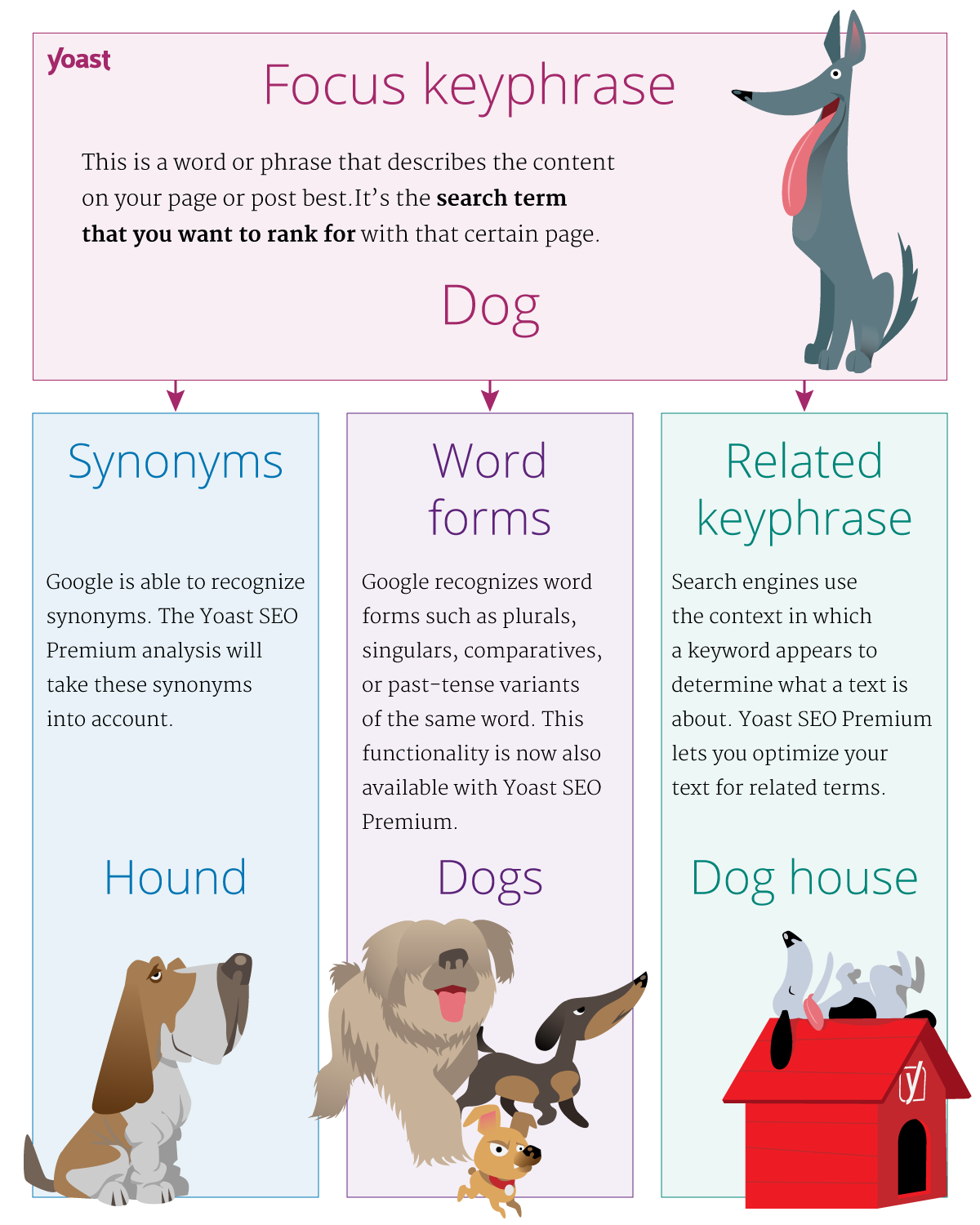 Yoast SEO word forms infographics