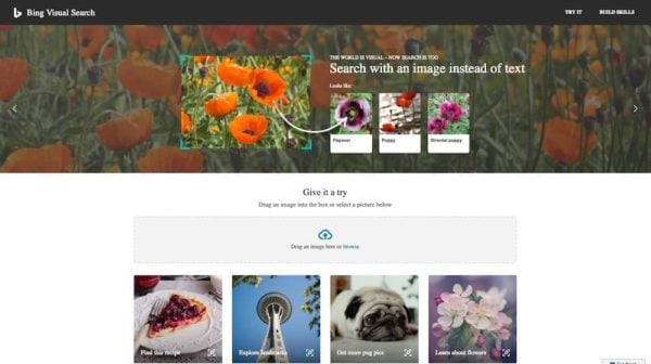 bing homepage images visual search