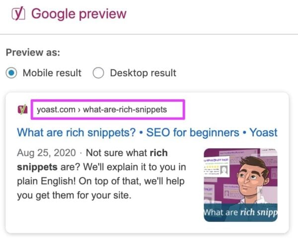 google preview with a preview of the slug