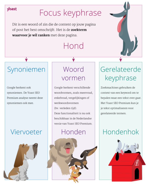 Yoast SEO 13.4: Word form support for Dutch • Yoast 2