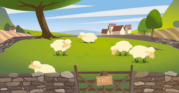 Tragedy of the commons illustration of a few sheep on the pasture