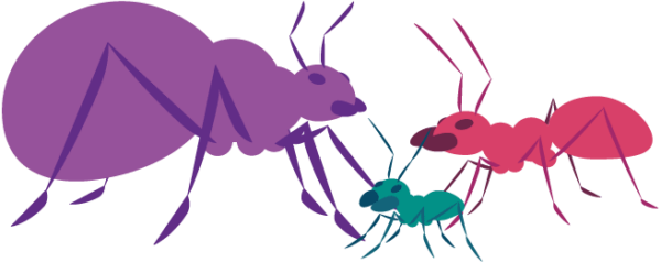 open source illustration of three ants of different sizes