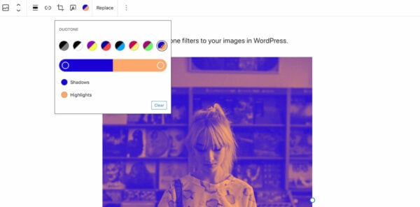 WordPress 5.8 : ajouter un filtre bicolore à votre image