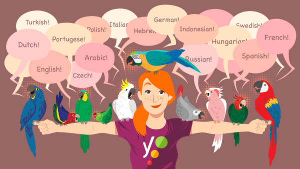 Yoast SEO 17.0: SEO in your mother-tongue