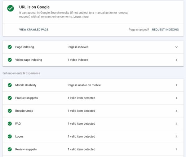 Google iskalna konzola - pregled URLja