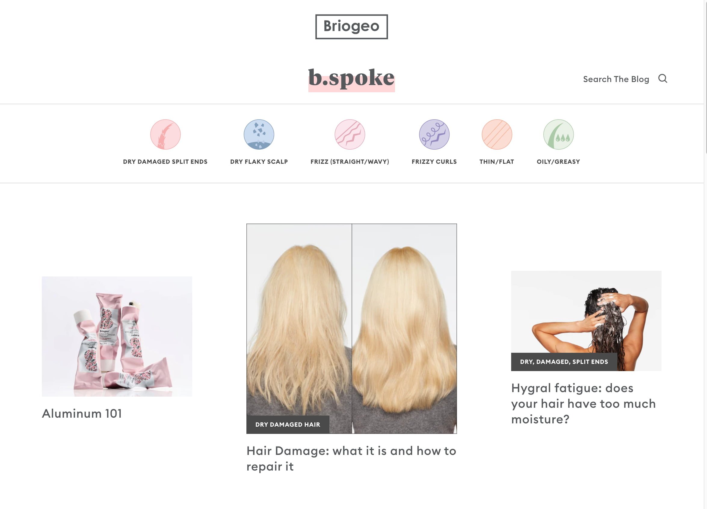 An example of a blog post on the Briogeo Shopify blog