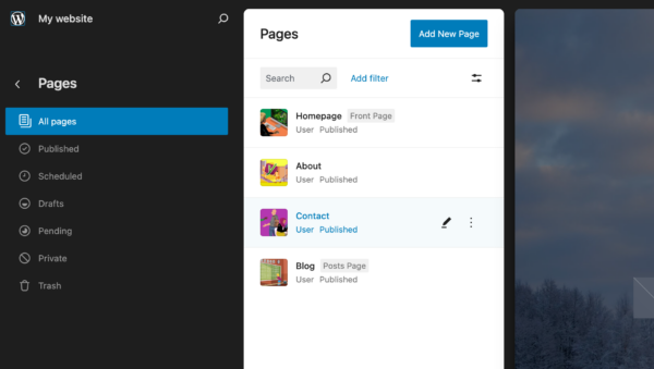 WordPress 6.6: preview pages in site editor 
