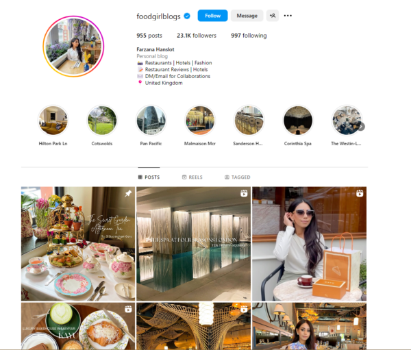 Capture d'écran du compte Instagram de foodgirlblogs. Elle compte 23 000 abonnés. Ses photos sont celles de la nourriture et d'elle-même.