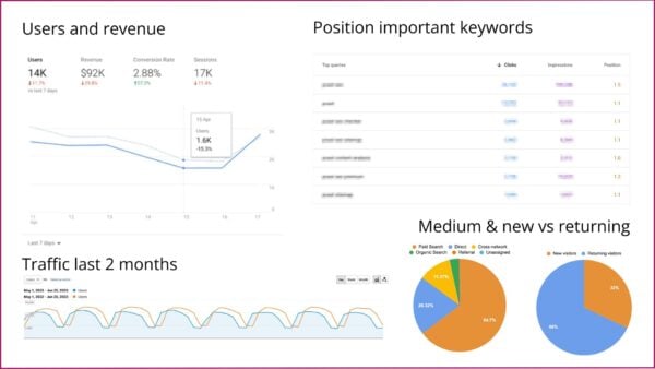 example of a overview in an SEO report