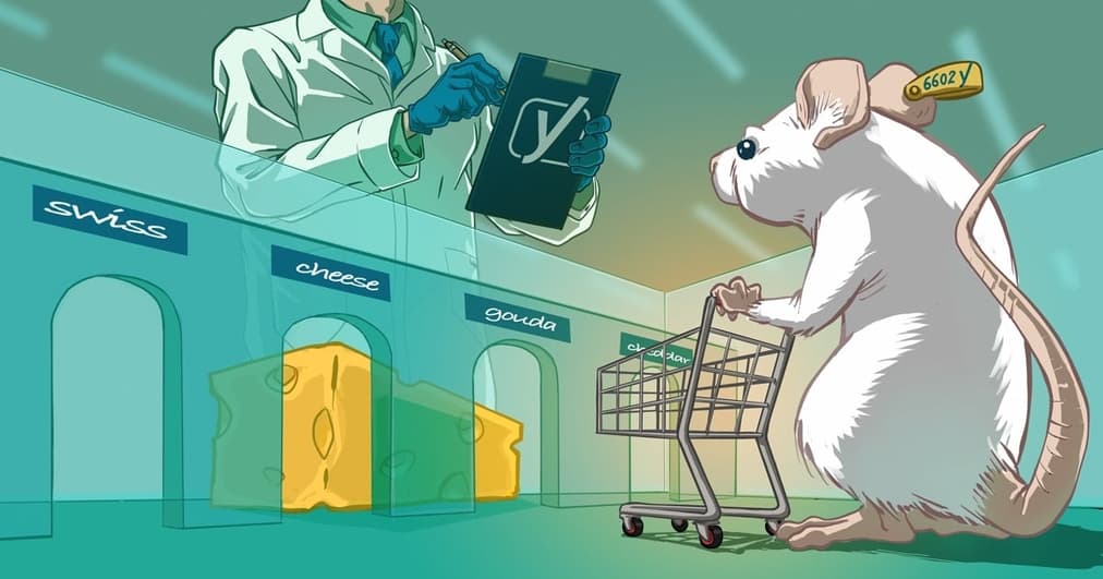 Multivariate testing what it is and when to use it • Yoast