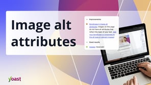 Image alt attributes