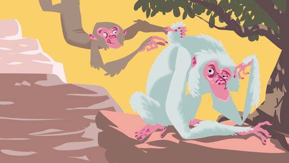 Avatar of Edwin Toonen