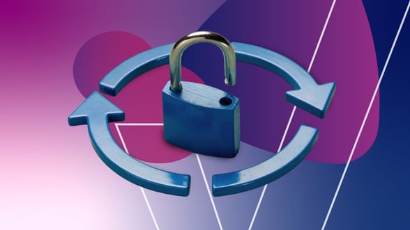Security patch: Yoast SEO Premium 27.6.1