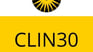 CLIN30 Conference 2020